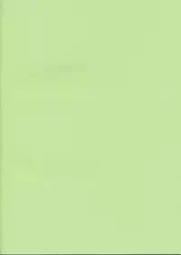 [Teruo Haruo] Okusama ha Chu Gakuse (Negima)