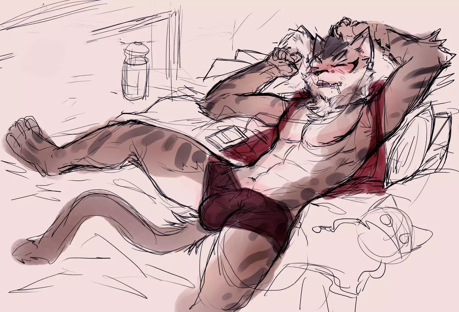 Nekojishi February 2018 Package Reward + Extras