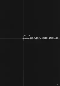 (C73) [Shimoyakedou (Ouma Tokiichi)] Cicada Drizzle (Lucky Star)
