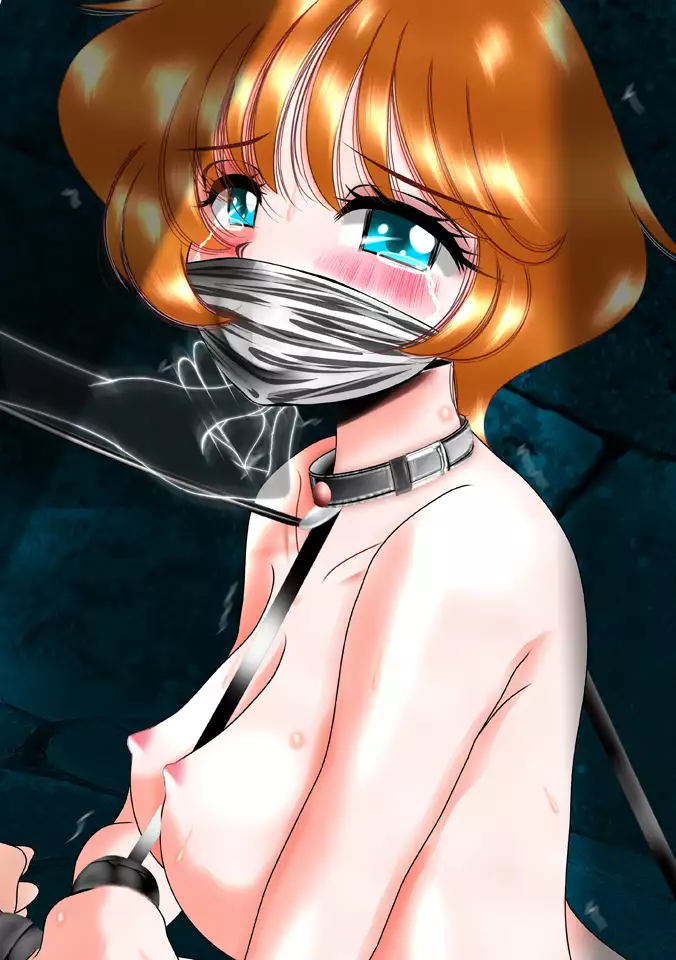 Hakurai Shoujo Series