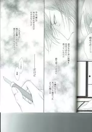 Petals Falling on Rippling Waters