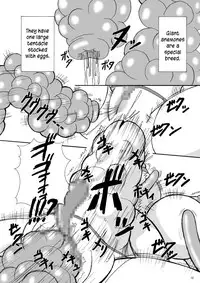 (C76) [Pintsize (Tenrai)] Umi Monogatari (Umi Monogatari) [English]