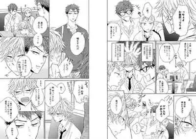 Kitsune-san, Bakashi Aishimasho!