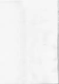 (C74) [Spirit Guide] songstress tally ho!! (Macross Frontier)