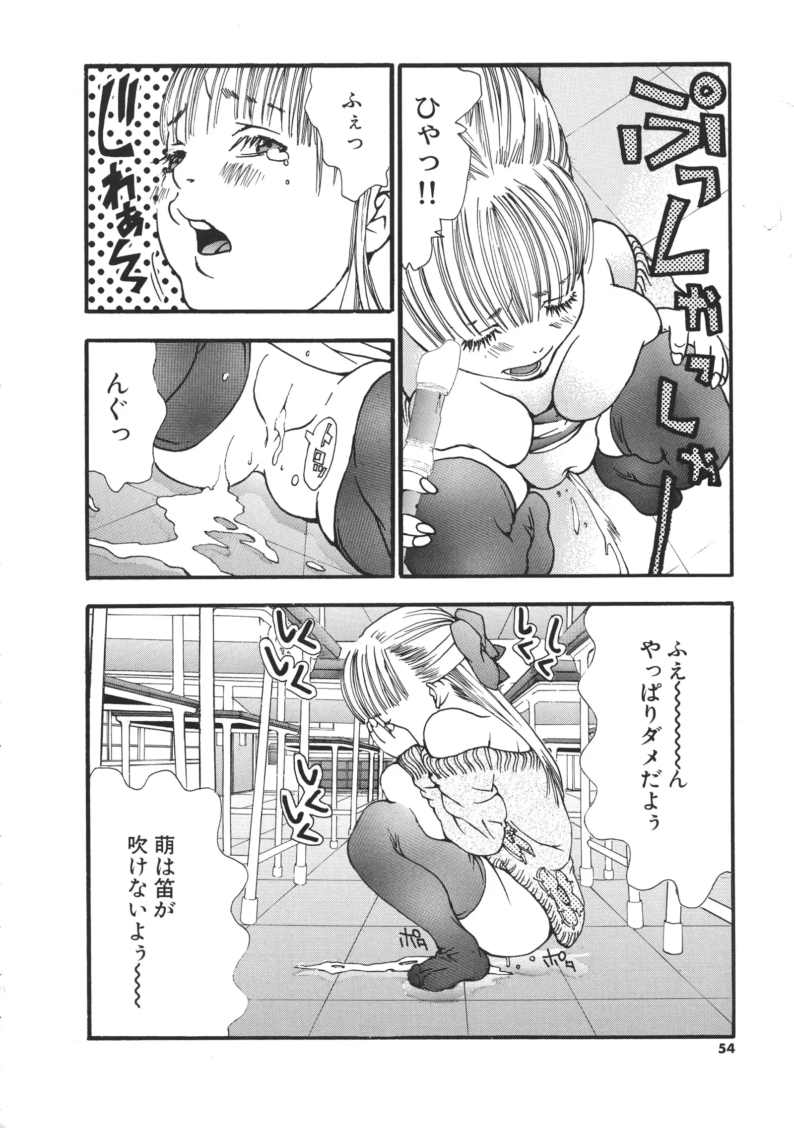 Miyazaki Maya Daizukan EX Deluxe Special