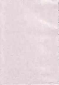 (C71) [GUST (Gust-san)] Iro-7 (Mahou Sensei Negima!) [English] [CGRascal]