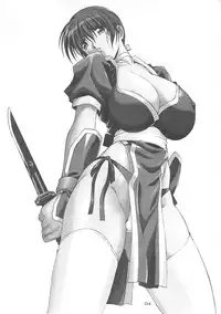 (C58) [AKKAN-Bi PROJECT (Yanagi Hirohiko)] DEAD WOOD (Dead or Alive)