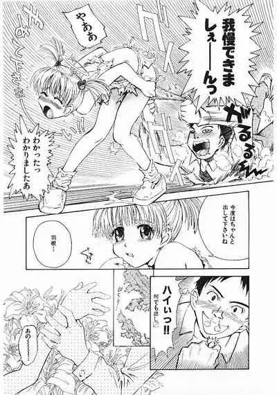 Omasena Petite Ange 1