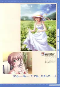 Canvas2 ~茜色のパレット~ ビジュアルファンブック