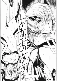 (C64) [nylon 100% (Nylon)] Private Beach! (Dead or Alive)