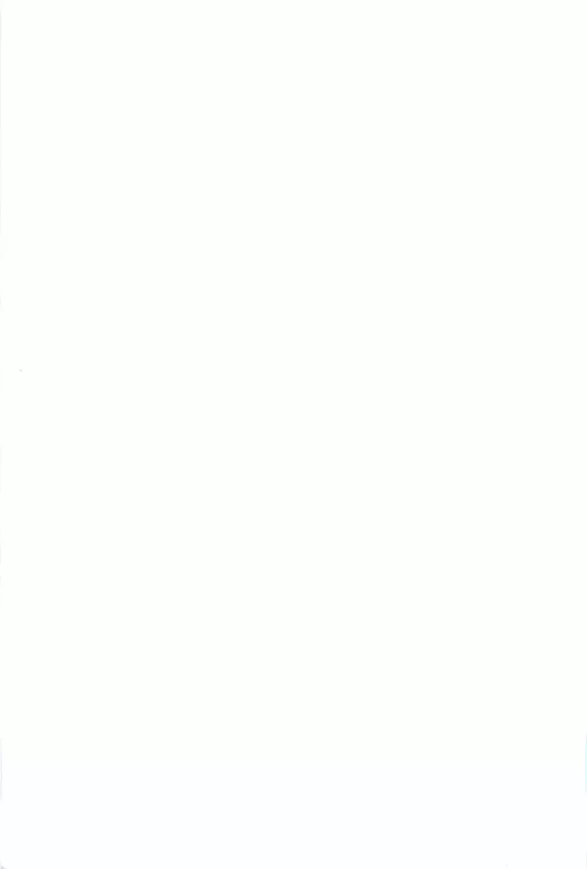 ぬえちゃんは視られたい