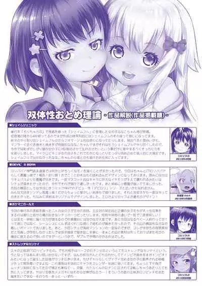 Soutaisei Virgin Theory