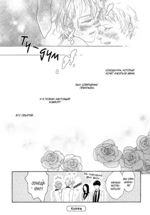 The Daydreamer Falls in Love