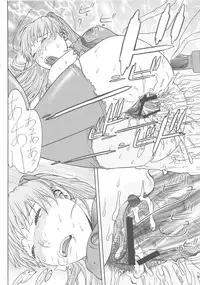 [From Japan] Seiiki Naki Jukujuku Kaikaku III (Neon Genesis Evangelion)