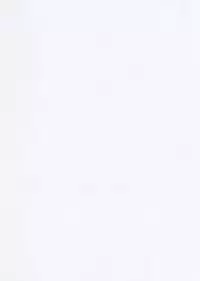 Nandemo Iu Koto o Kiku Choukyouzumi Nikudorei