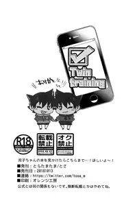 [Tora Tamatama (Tosa)] Twin training (Shinkalion)