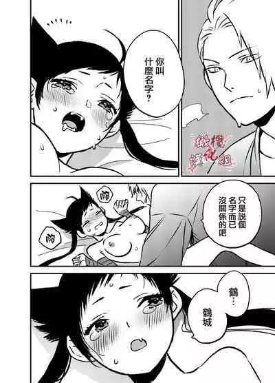 Ninja Tsurugi | 忍者鹤城