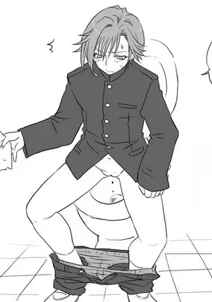 Seitenkango. Shinyuu to Ch. 1-8