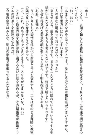 年上メイドの新婚日記