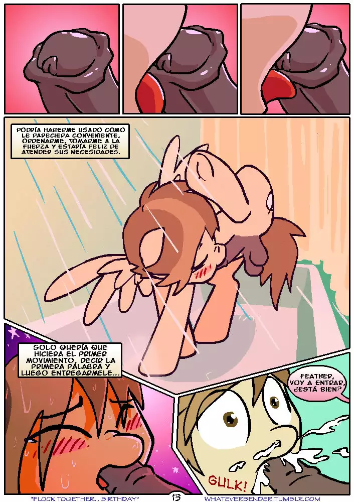 Ellos se Juntan en Cumpleaños