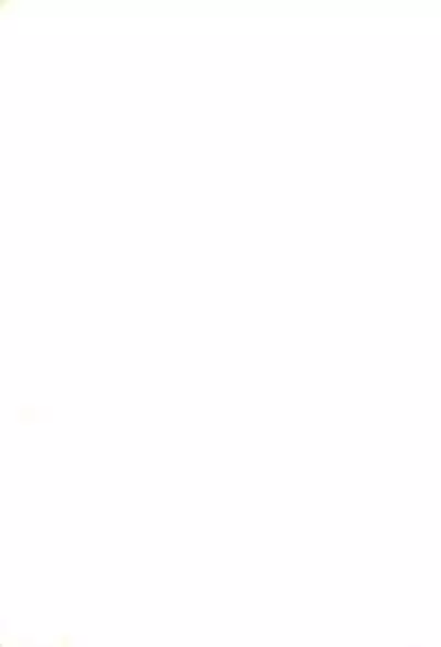 Nintama Bugei-chou '94