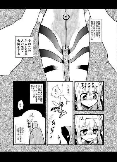 [Wataginu Tektite (Tsuru)] FERNANDES PIXY SHOP [Digital]