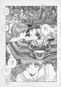 [Gun Ryuusei] Wakakusa Bishoujotai vol.1