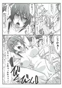 (Tora Matsuri 2015) [STUDIO TRIUMPH (Mutou Keiji)] Astral Bout SP02 (IS <Infinite Stratos>)