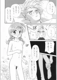 [WORKS-MARUMA (various)] ENAMEL