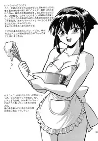 (C63) [Studio Katsudon (Manabe Jouji)] Barnette Book (Vandread)