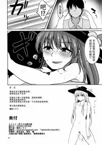 (C91) [Lactucopicrin (Momoiro Retas)] Koisuru Hinanawi (Touhou Project) [Chinese] [迷途竹林汉化]