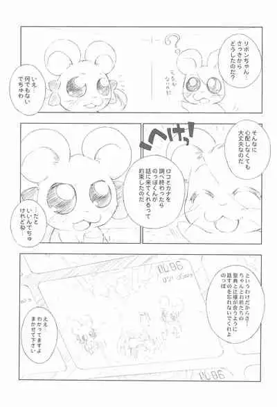 BATTLE FOR THE PLANET OF THE HAMS