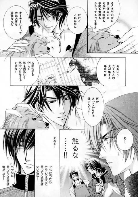 b-BOY Phoenix Vol.3 Tsundere Tokushuu