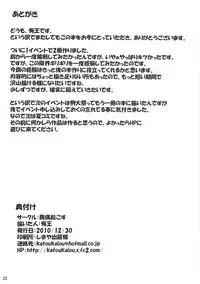 (C79) [Fukutsuu Okosu (Kaiou)] Double Nupoiler (Touhou Project)