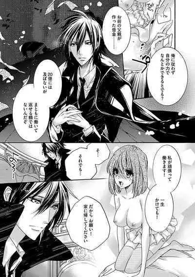 鬼畜兄弟の悶絶調教~私はいいなり奴隷~