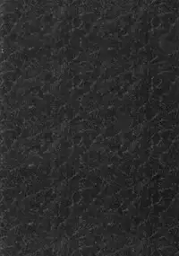 (COMIC1☆10) [INS-mode (Amanagi Seiji)] Watashi to Kanojo to Ai to Yoku