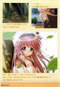 Maple Colors Fanside - Mediax Mook 238