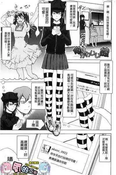 hasebe souutsu collection