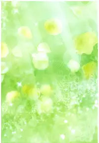 [Ai Wa Kurayami (Marui Ryuu)] Shining Knight Green (Magic Knight Rayearth)