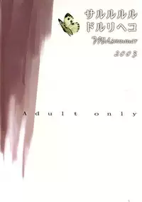 (C64) [Sarurururu (Doru Riheko)] Holic 3 Hallucination (Street Fighter)