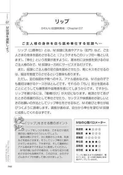 Zero kara Hajimeru SM Manual Kawaii Dorei Shiikujutsu