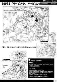 (C68) [StrayMoon (Miyama Zero)] Princess Brave! Jantaku no Kishi - Settei Gengashuu