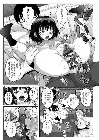 Soutaisei Virgin Theory