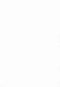 (C86) [Yadokugaeru (Locon)] Kaname 04 [English] [mysterymeat3]