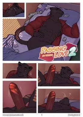 Passing Love 2- Meesh