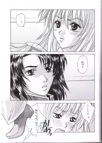 [L.S.P.] FLAVOR 03 (Kidou Senshi Gundam SEED)