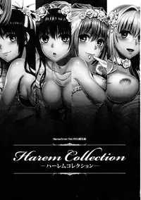 (C86) [Maniac Street (Oono, Sugaishi)] Harem Collection (To LOVE-Ru) [Chinese]