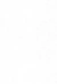 (C60) [CIRCLE FOUNDATION (Fujise Akira)] Plutinum 2 (Love Hina)