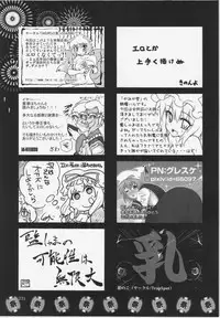 (C84) [Hinaprin, Kitsunenomori (Various)] Dairansai (Touhou Project)