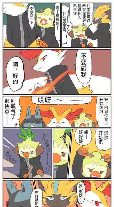 |宝可梦的故事(呜鸟木个人汉化组)